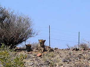 Namibia