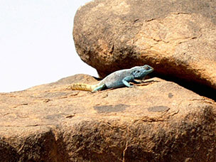 Namibia