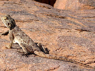 Namibia