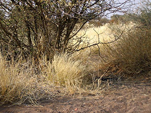 Namibia