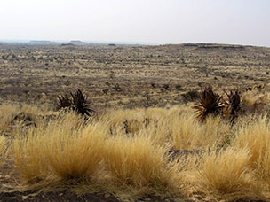 Namibia