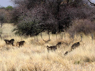 Namibia