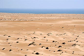 Oman