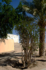 Oman