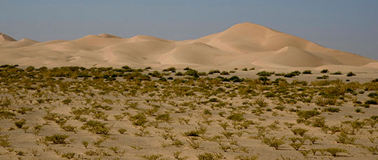 Oman