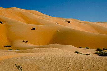 Oman