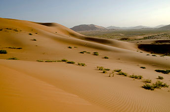 Oman