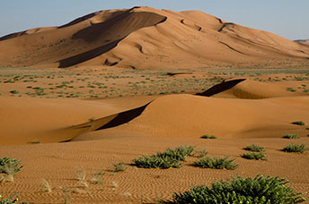 Oman