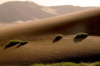 Oman