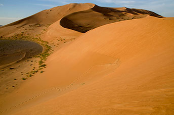 Oman