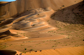 Oman