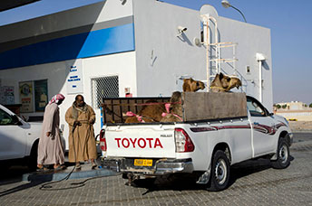 Oman