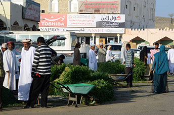 Oman