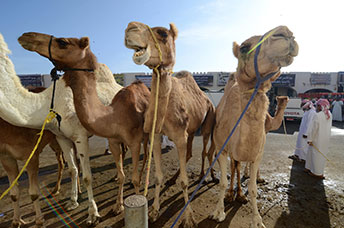 Oman
