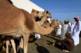 Oman