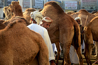 Oman