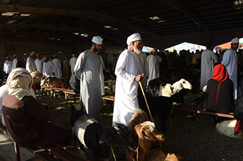Oman