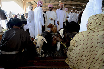 Oman