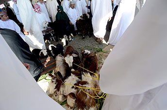 Oman