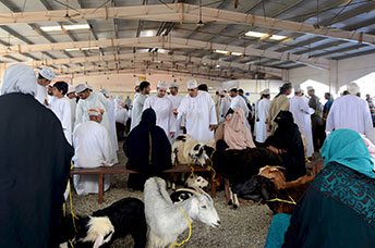 Oman