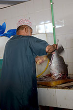 Oman