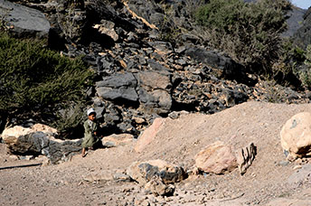 Oman