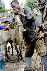 Etiopia (Omo river)