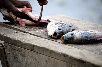 Etiopia (Omo river)