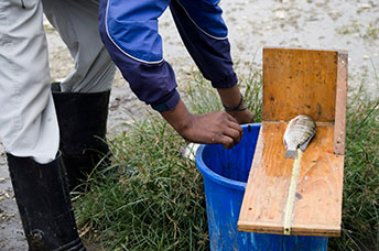 Etiopia (Omo river)
