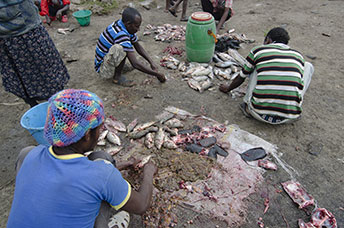 Etiopia (Omo river)