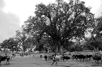 Etiopia (Omo river)