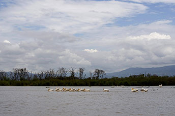 Etiopia (Omo river)