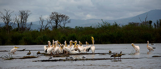 Etiopia (Omo river)