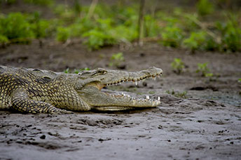 Etiopia (Omo river)
