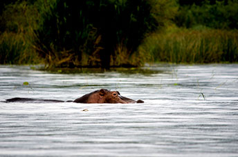 Etiopia (Omo river)