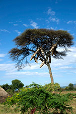 Etiopia (Omo river)