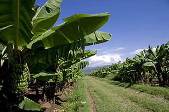 Etiopia (Omo river)
