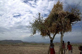 Etiopia (Omo river)
