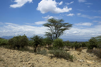 Etiopia (Omo river)