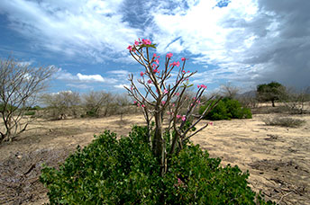 Etiopia (Omo river)