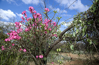 Etiopia (Omo river)