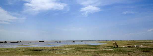 Kenya