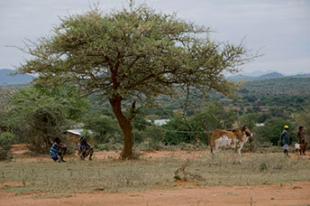 Etiopia (Omo river)