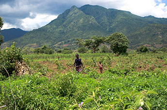 Etiopia (Omo river)