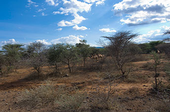 Etiopia (Omo river)
