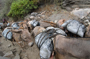 Etiopia (Omo river)