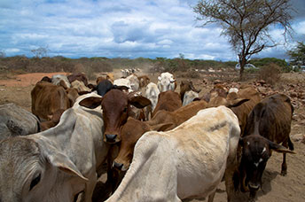Etiopia (Omo river)