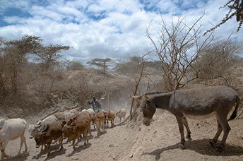 Etiopia (Omo river)
