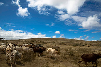Etiopia (Omo river)