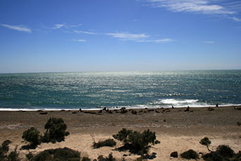 Argentina